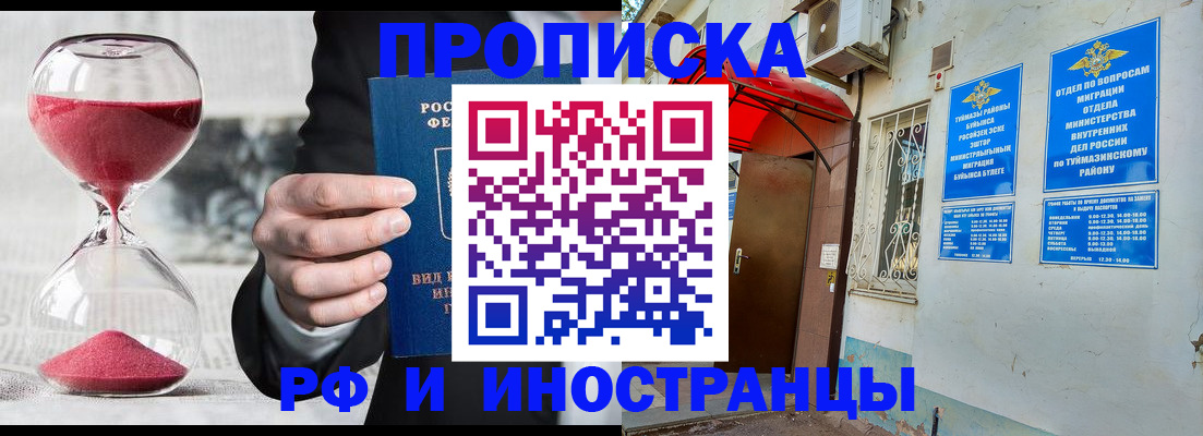 прописка 2025 в Коле